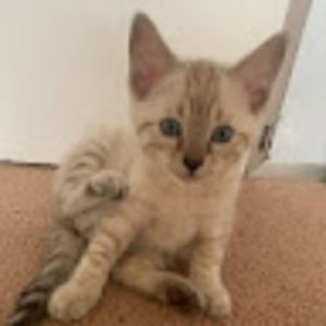 Meet your Posher, Heather